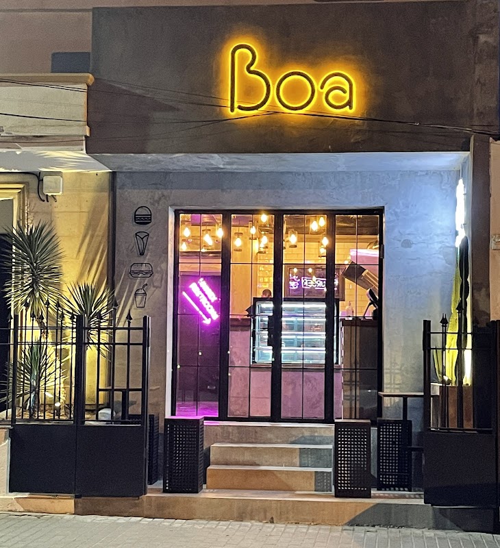 Boa Alger